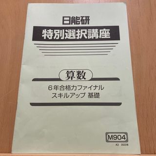 日能研 特別選択講座 合格力ファイナル テキスト 6年　スキルアップ基礎　参考書(語学/参考書)