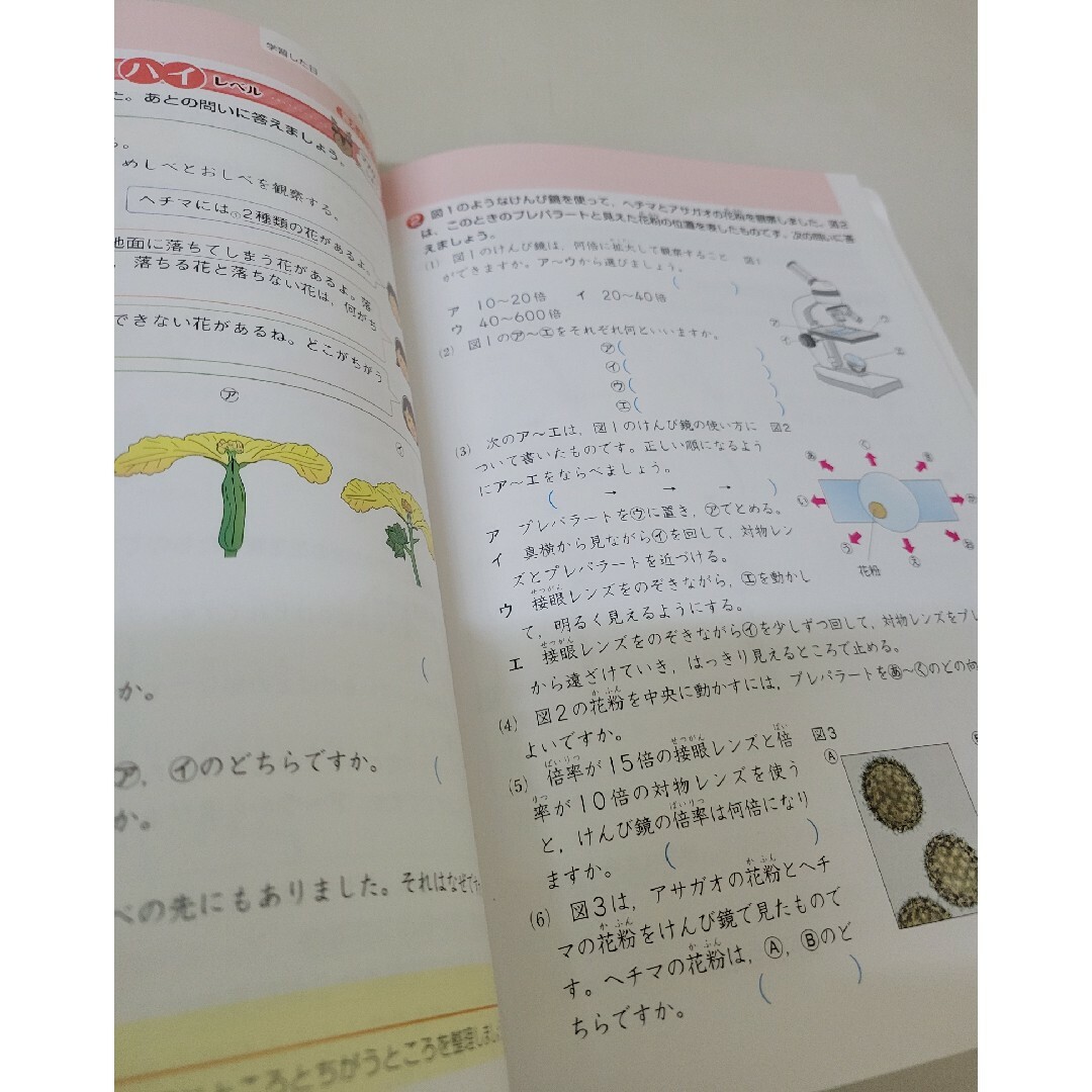 トクとトクイになる！小学ハイレベルワーク理科５年 エンタメ/ホビーの本(語学/参考書)の商品写真