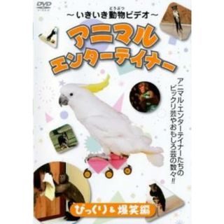 [302050]いきいき動物ビデオ アニマル・エンターテイナー びっくり&爆笑編【趣味、実用 中古 DVD】ケース無:: レンタル落ち(趣味/実用)