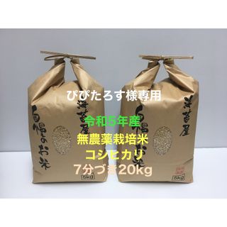 ぴぴたろす様専用 無農薬コシヒカリ7分づき20kg(5kg×4)令和5年産(米/穀物)