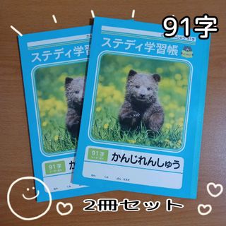 ステディ学習帳☆かんじれんしゅう★91字☆2冊セット(ノート/メモ帳/ふせん)