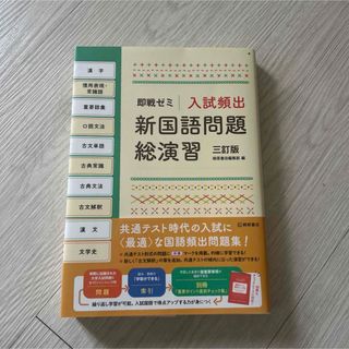 入試頻出新国語問題総演習(語学/参考書)