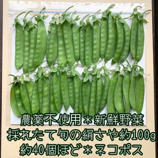 農薬不使用＊新鮮野菜＊採れたて旬の絹さや＊約100g＊約40個ほど＊ネコポス＊