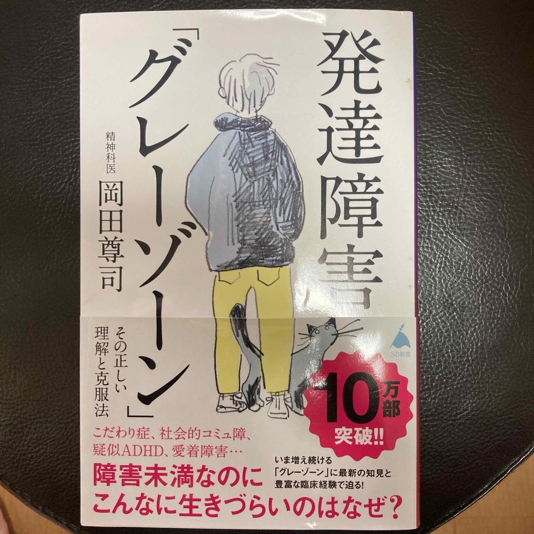 発達障害「グレーゾーン」その正しい理解と克服法 エンタメ/ホビーの本(その他)の商品写真