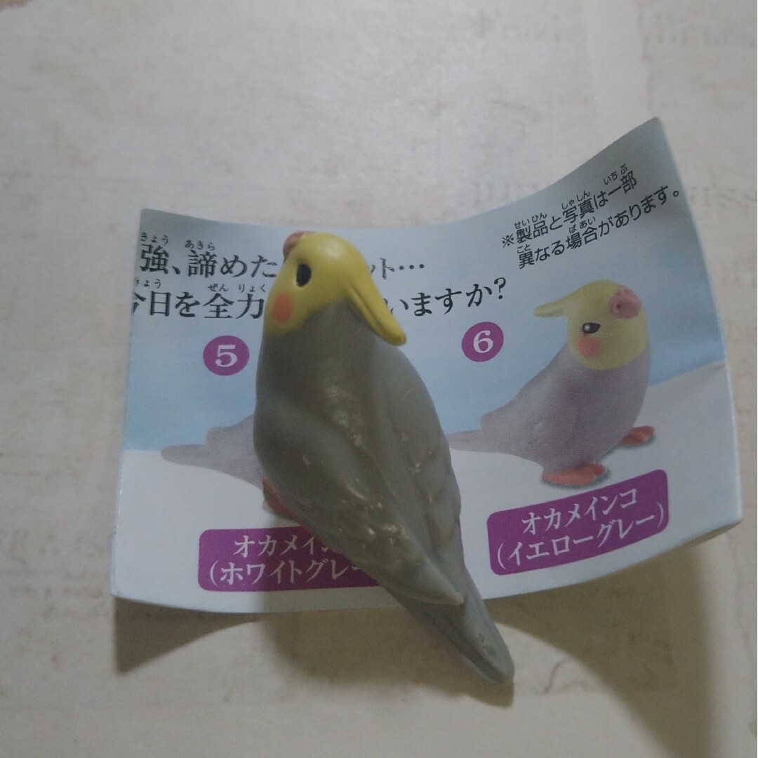 EPOCH(エポック)の小首をかしげるどうぶつたち 初版 オカメインコ全3種 エポック エンタメ/ホビーのフィギュア(その他)の商品写真