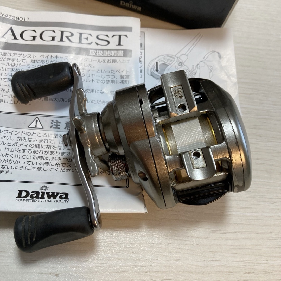 DAIWA(ダイワ)のダイワ　アグレスト　100H Daiwa フロロ20ポンド巻き　OH済み スポーツ/アウトドアのフィッシング(リール)の商品写真