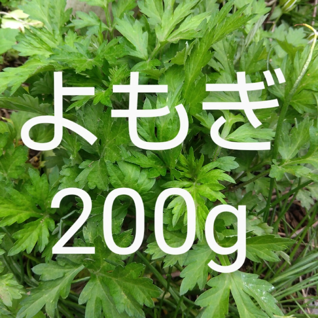 よもぎ 約200g 新鮮 農薬不使用 天然物 食品/飲料/酒の食品(野菜)の商品写真