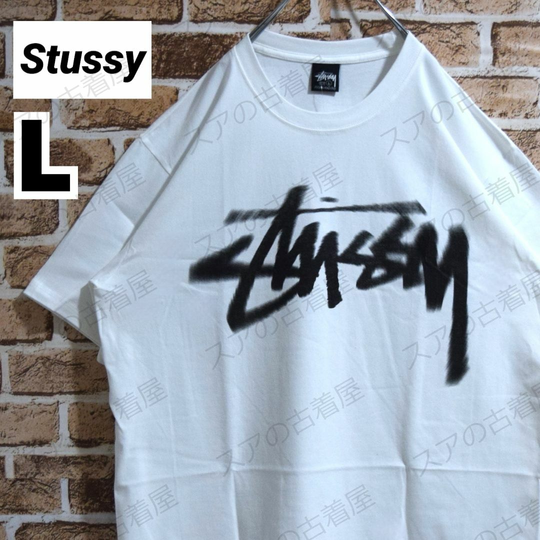 STUSSY(ステューシー)の《nekonekonico様専用》正規・新品タグ　DIZZYロゴ　ホワイト　L メンズのトップス(Tシャツ/カットソー(半袖/袖なし))の商品写真