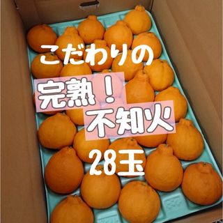 完熟不知火28玉 赤青秀品