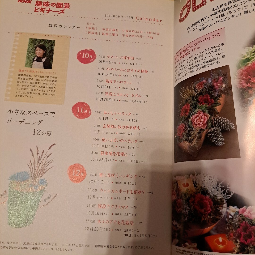 NHK　趣味の園芸ビギナーズ秋冬 エンタメ/ホビーの本(住まい/暮らし/子育て)の商品写真