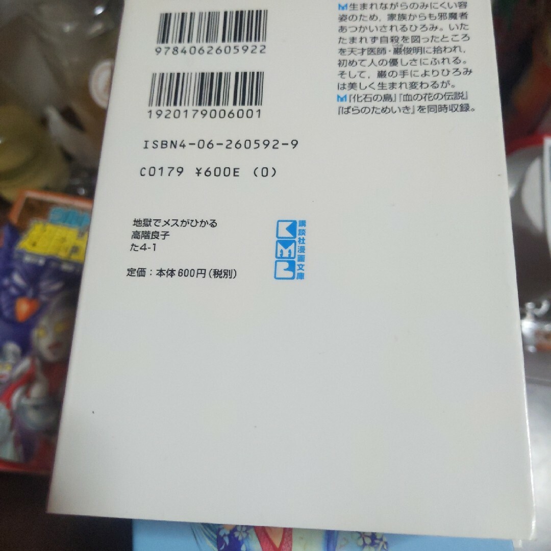 水滸伝 レディースのファッション小物(その他)の商品写真