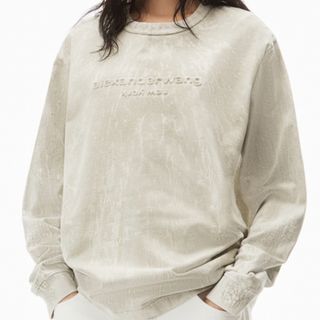 Alexander Wang - ※新品未使用【AlexanderWang】定価5万円グレーロンT(XSサイズ)