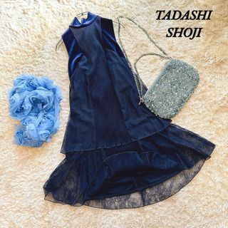 tadashi shoji タダシショージ　ティアード　レースワンピース　ドレス(その他ドレス)