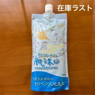 豊富温泉水 サロベツ大地恵泉 肌うれし 500ml 1本(その他)