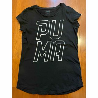 プーマ(PUMA)のPUMA プーマ　Tシャツ　フレンチスリーブ　XLサイズ(Tシャツ/カットソー(半袖/袖なし))