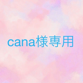 cana様専用(ミニチュア)