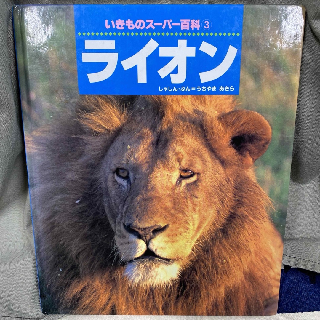 いきものスーパー百科 3 ライオン 動物 図鑑 エンタメ/ホビーの本(絵本/児童書)の商品写真