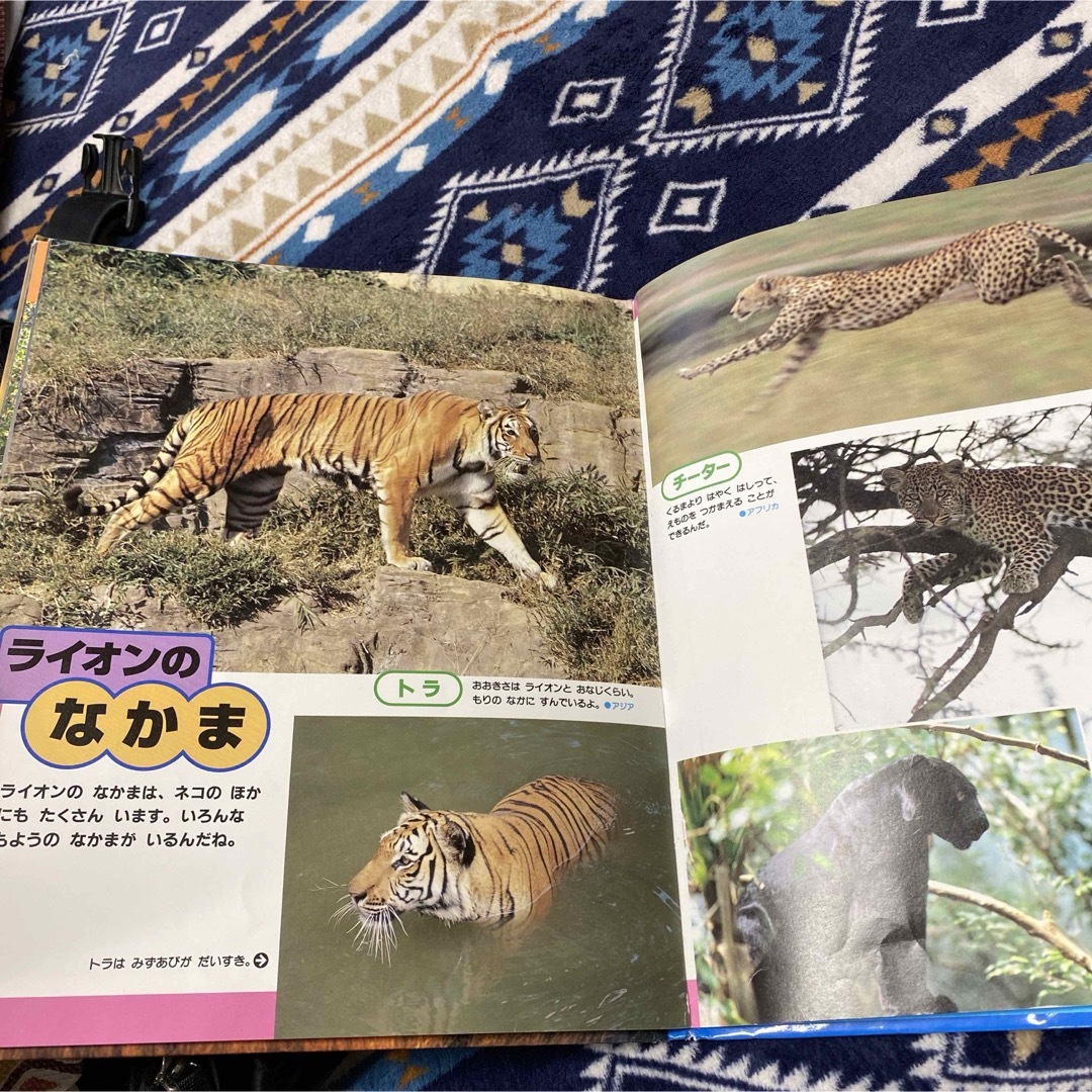 いきものスーパー百科 3 ライオン 動物 図鑑 エンタメ/ホビーの本(絵本/児童書)の商品写真