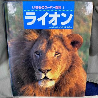 いきものスーパー百科 3 ライオン 動物 図鑑(絵本/児童書)