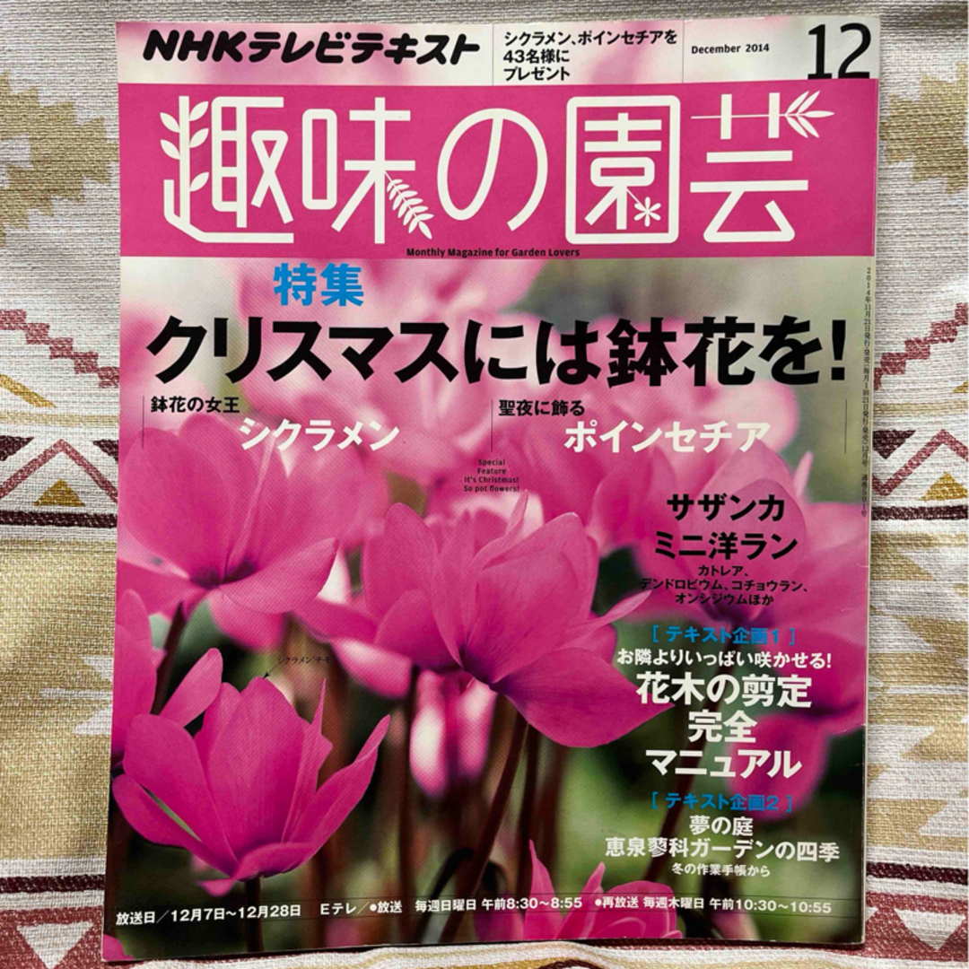 NHK趣味の園芸  2014年 12月号 育てる咲かせる花と緑で生活上手 エンタメ/ホビーの本(住まい/暮らし/子育て)の商品写真