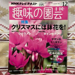 NHK趣味の園芸  2014年 12月号 育てる咲かせる花と緑で生活上手(住まい/暮らし/子育て)