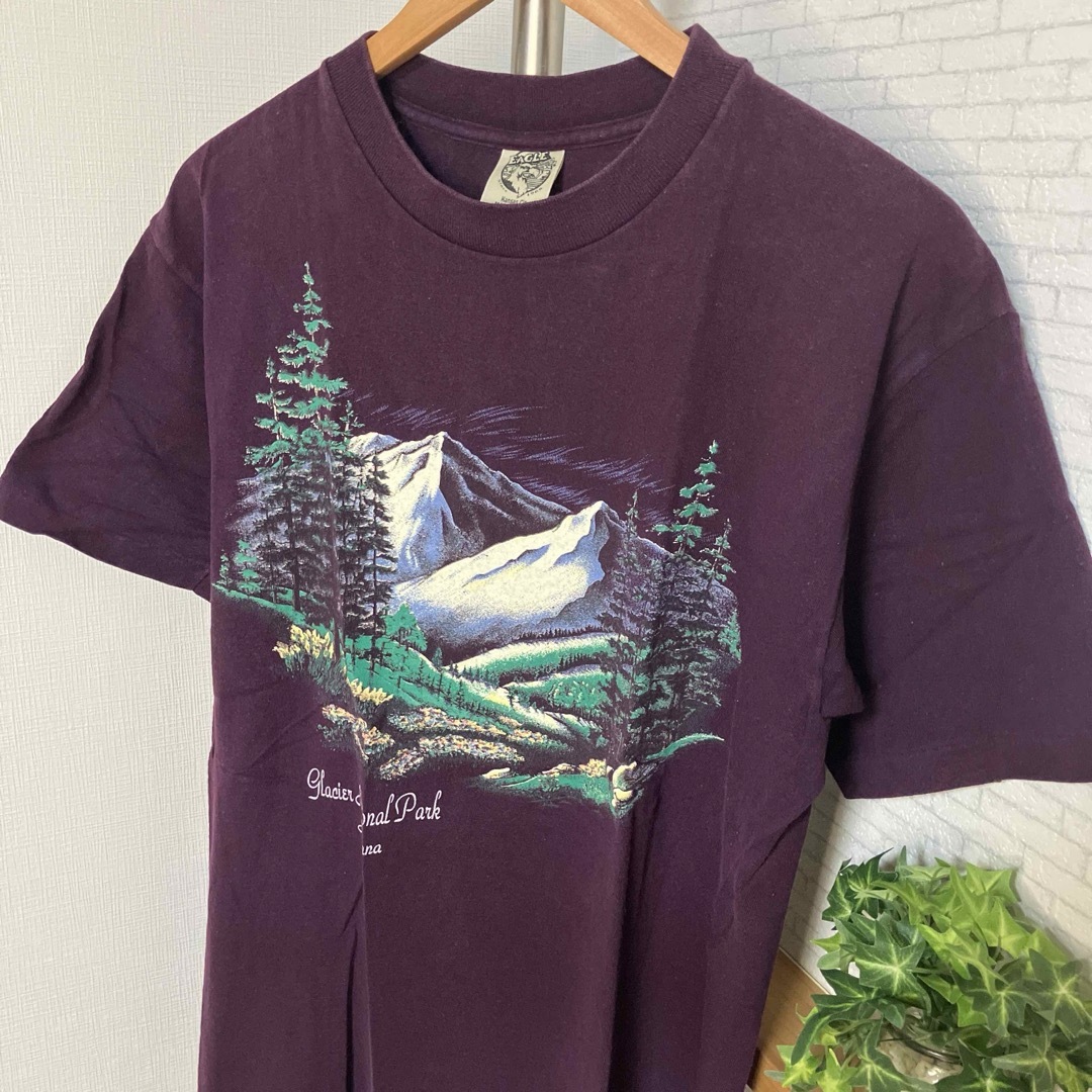 VINTAGE(ヴィンテージ)の80s〜90s『EAGLE』イーグル　Tシャツ　USA製　ヴィンテージ メンズのトップス(Tシャツ/カットソー(半袖/袖なし))の商品写真