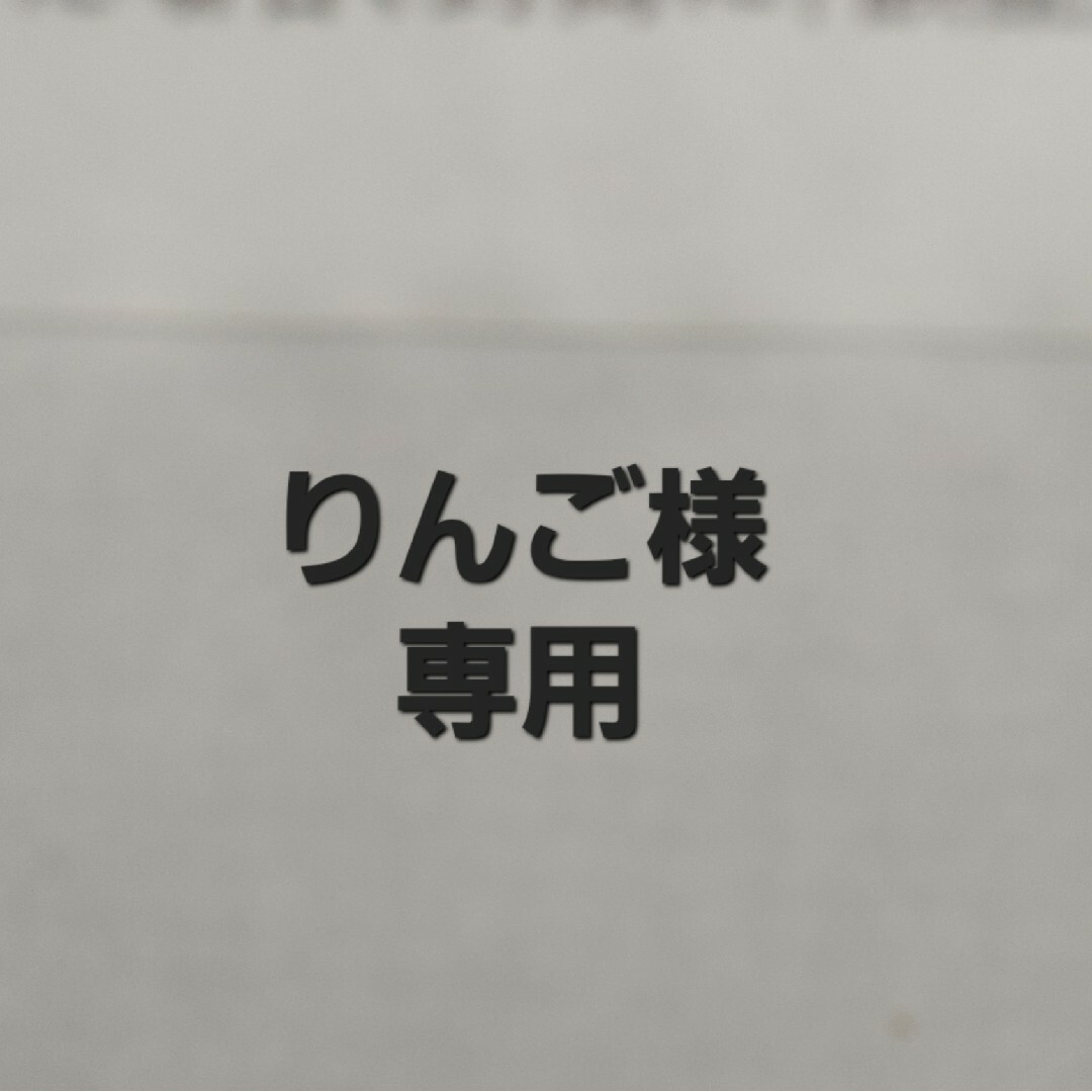 りんご様専用 エンタメ/ホビーのおもちゃ/ぬいぐるみ(キャラクターグッズ)の商品写真