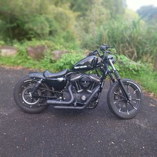 Harley Davidson - 20 xl883n  カスタム多数