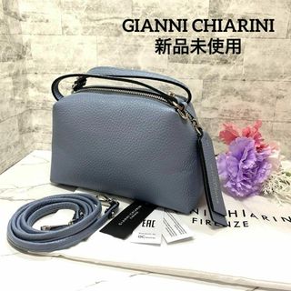 GIANNI CHIARINI - 新品未使用✨️ジャンニキャリーニ  アリファS ハンド ショルダーバッグ