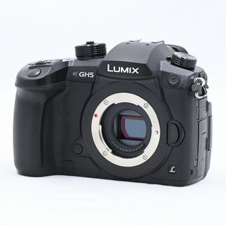 パナソニック(Panasonic)のPanasonic LUMIX DC-GH5-K ボディ ブラック(ミラーレス一眼)