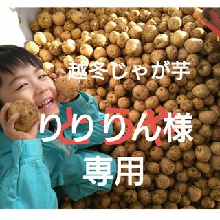 北海道産　越冬じゃが芋　とうや(野菜)