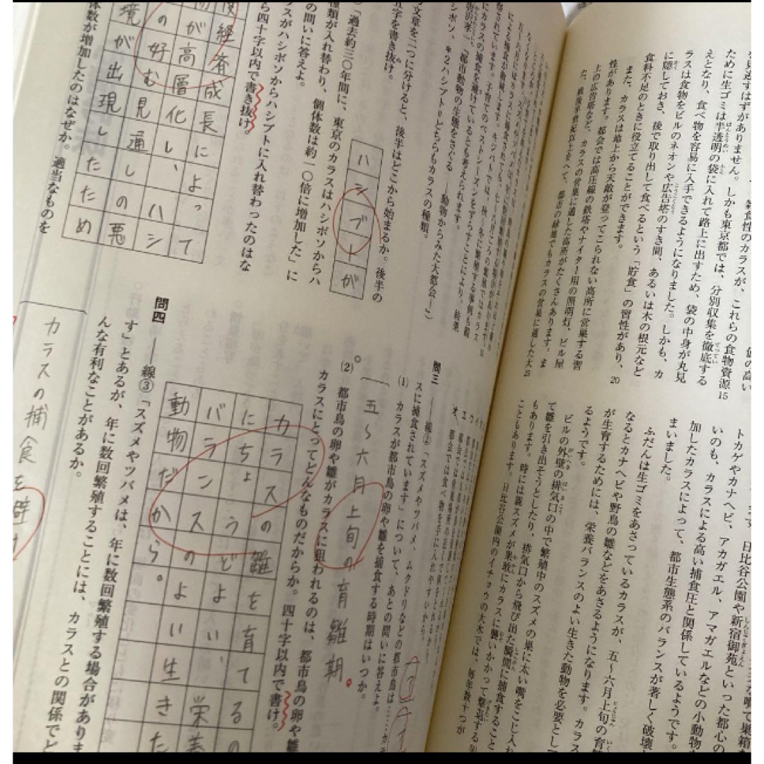 新中学問題集　発展編　国語3年 エンタメ/ホビーの本(語学/参考書)の商品写真