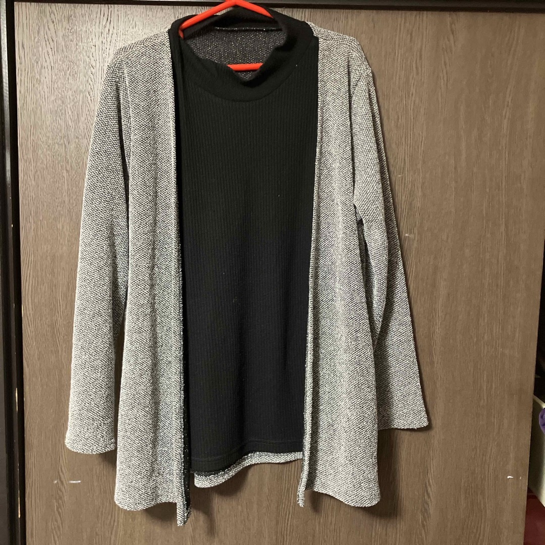 レディース服 レディースのトップス(ニット/セーター)の商品写真