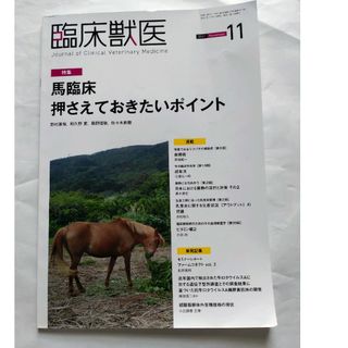 臨床獣医 2021年 11月号(専門誌)