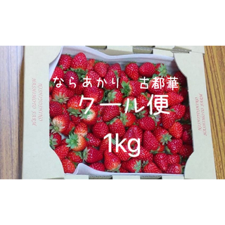 クール便　ならあかり　古都華　1kg 小粒　奈良県　農家直送　いちご　イチゴ　苺(フルーツ)