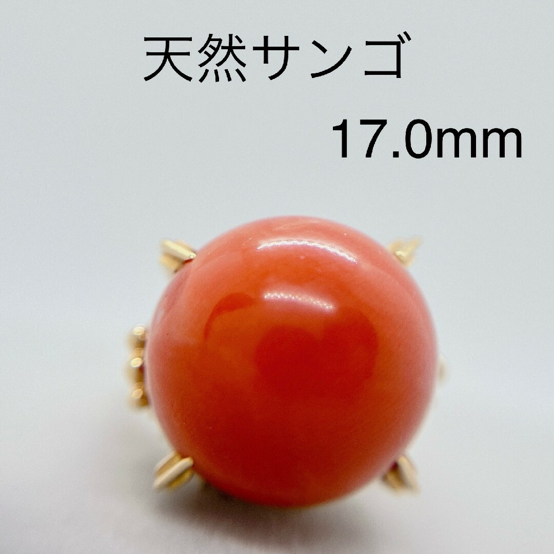 Tキラ 天然珊瑚  大粒 17.0㎜ リング レディースのアクセサリー(リング(指輪))の商品写真