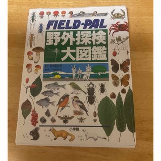 ショウガクカン(小学館)の野外探検大図鑑　小学館(絵本/児童書)