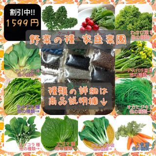 野菜の種 バジル はなな クレソン ルッコラ ケール 葉ねぎ 家庭菜園 種子(プランター)