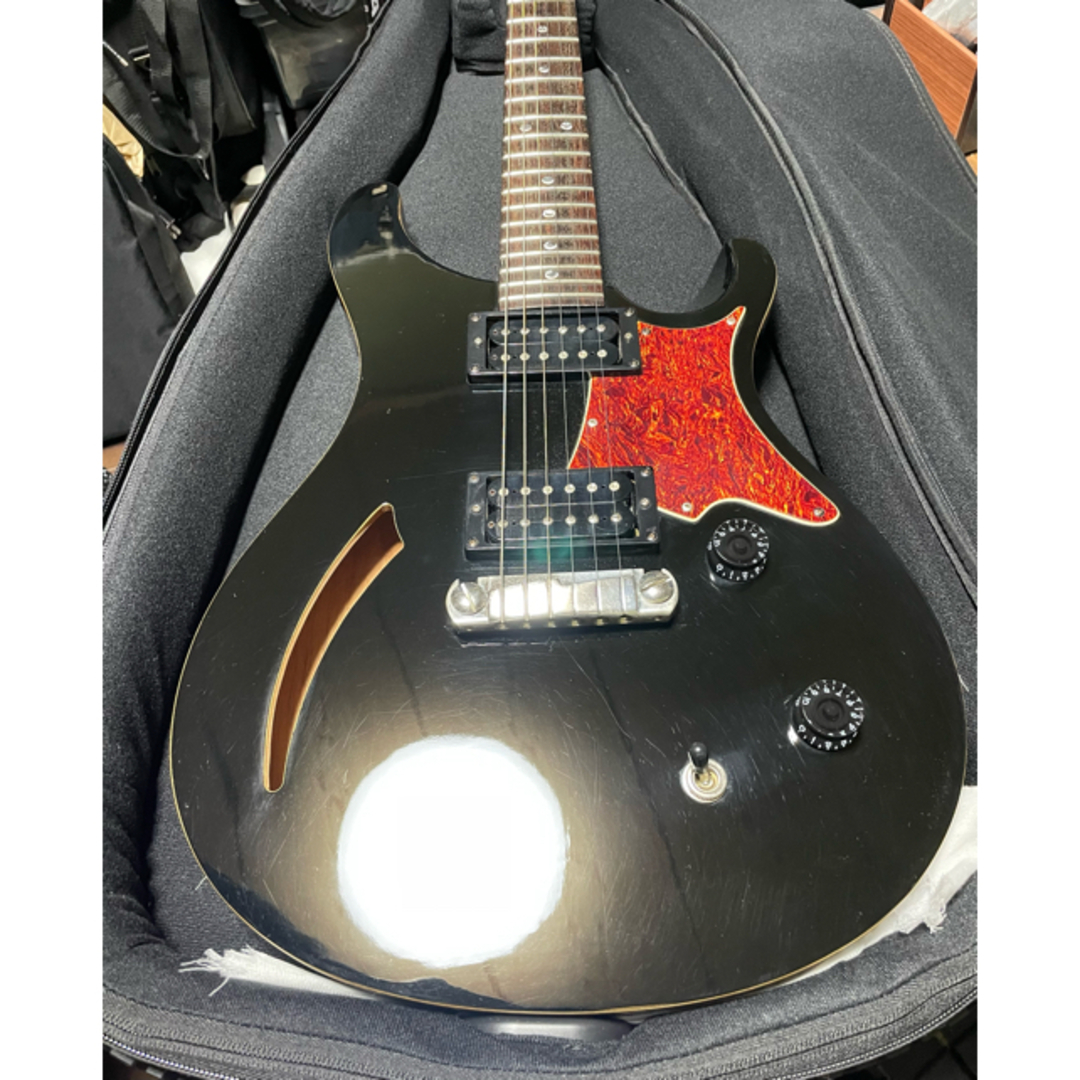 PRS(ピーアールエス)の【値下不可】PRS SE SE Custom Semi-Hollow 楽器のギター(エレキギター)の商品写真