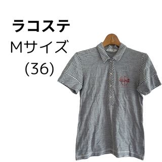 ラコステ(LACOSTE)のLACOSTE ラコステ ボーダー ポロシャツ 綺麗 半袖 M 36(ポロシャツ)