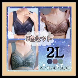 【2L】3色セット★シームレスブラ ノンワイヤー 大きいサイズ(ブラ)