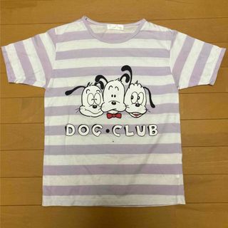 Tシャツ　パープル×ホワイト　ボーダー　150(Tシャツ/カットソー)