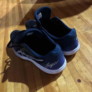 アシックス(asics)のバレーシューズ　28.5㌢(その他)