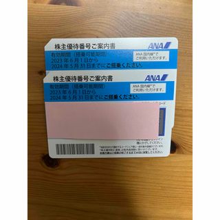 エーエヌエー(ゼンニッポンクウユ)(ANA(全日本空輸))のANA 株主優待券　2枚　有効期限2024年5月31日まで(航空券)