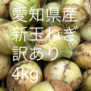 愛知県産　新玉ねぎ　4kg 訳あり(野菜)