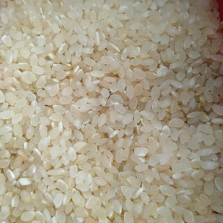 無洗米  (ブレンド米)           11Kg(米/穀物)