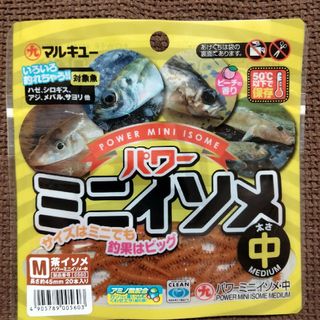 マルキュー(MARUKYU（Fishing）)のマルキュー　パワーミニイソメ　M　中　ワーム　フィッシング　釣り　エコギアアクア(ルアー用品)