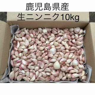 鹿児島県産生ニンニク　10kg(野菜)