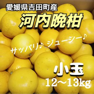 愛媛県産★農家直送★河内晩柑 小玉12〜13キロ(フルーツ)