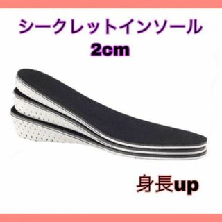 シークレットインソール 中敷き 2cm 男女兼用(その他)